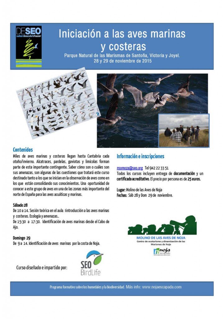 Curso iniciación a las aves marinas y costeras en Noja Miplanhoy qué hacer hoy en Cantabria