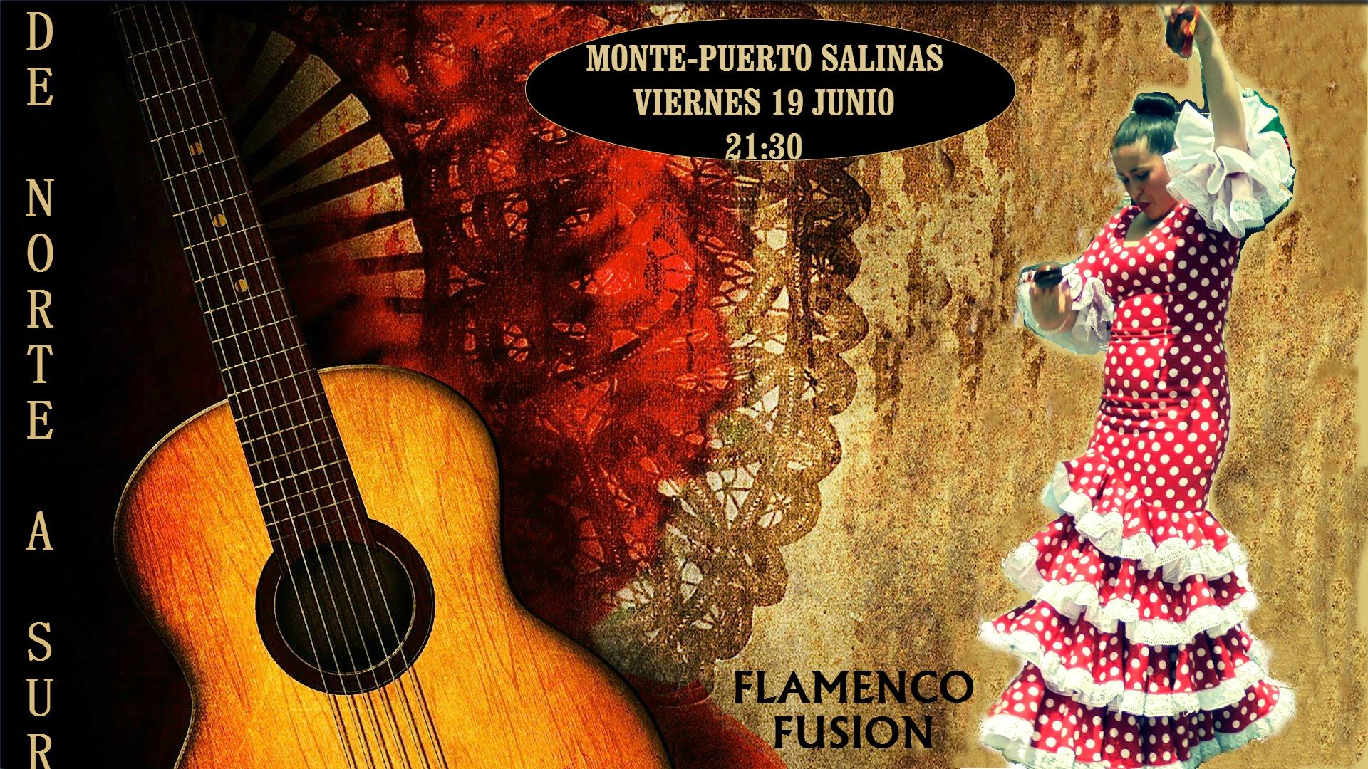 Concierto Flamenco de De Norte a Sur en Puerto Salinas en Monte
