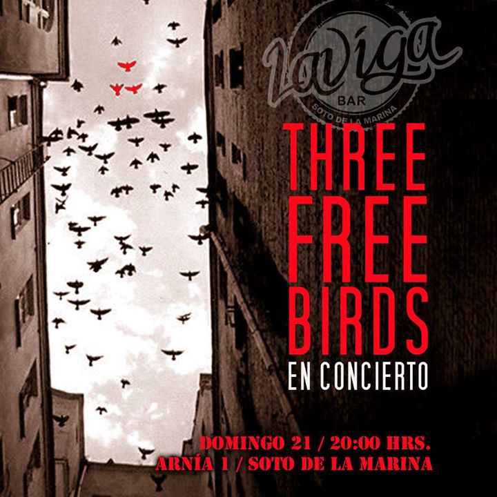 Concierto de Three Free Birds en La Viga en Soto de la Marina
