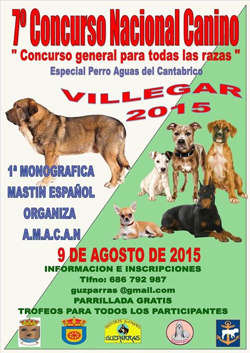 Concurso nacional canino Villegar 2015