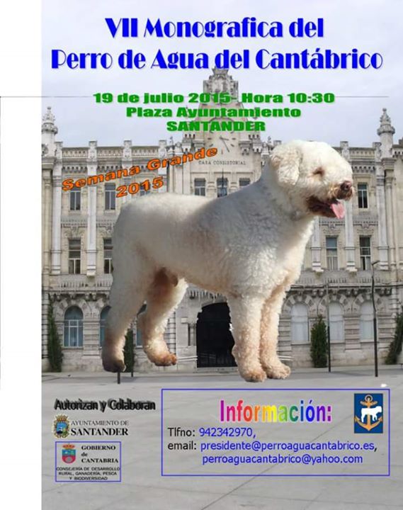 Monografía del perro de agua de Cantabria
