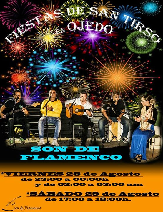 Concierto de Son de Flamenco en Ojedo.