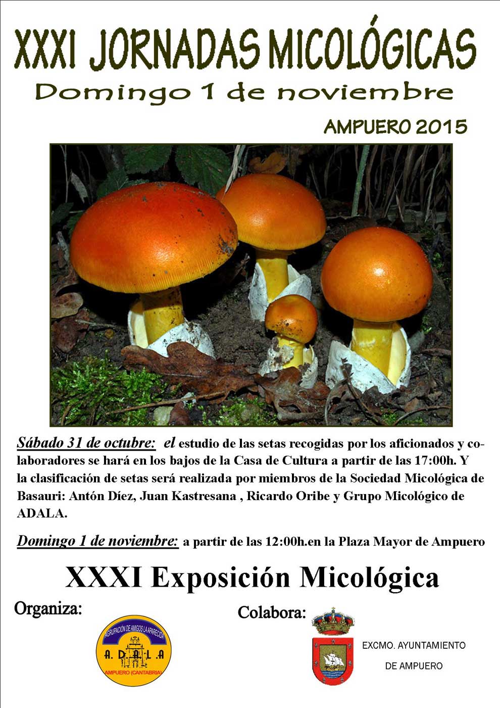 Jornadas micológicas en Ampuero 2015