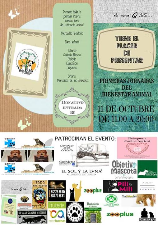 Mercadillo, Talleres y Jornadas de bienestar animal en Santander