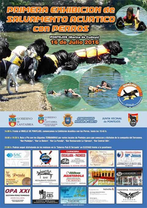 Exhibicion de Salvamento acuatico con perros en Pontejos