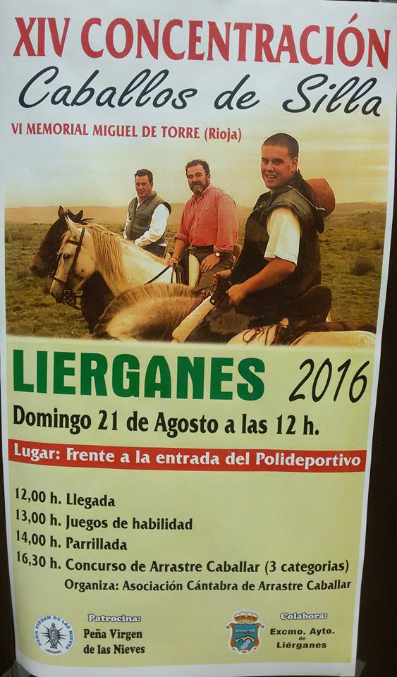 Concentracion de caballos de silla en Lierganes