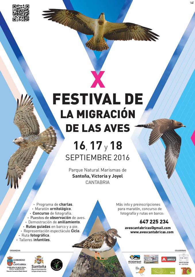 X Festival de la Migración de las aves en Santoña 2016
