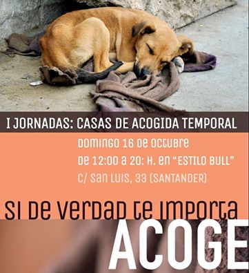Jornada informativa de casas de acogida en Santander