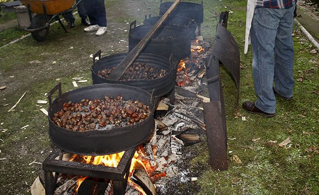 Fiesta y magosta en San Mateo de Buelna 2016