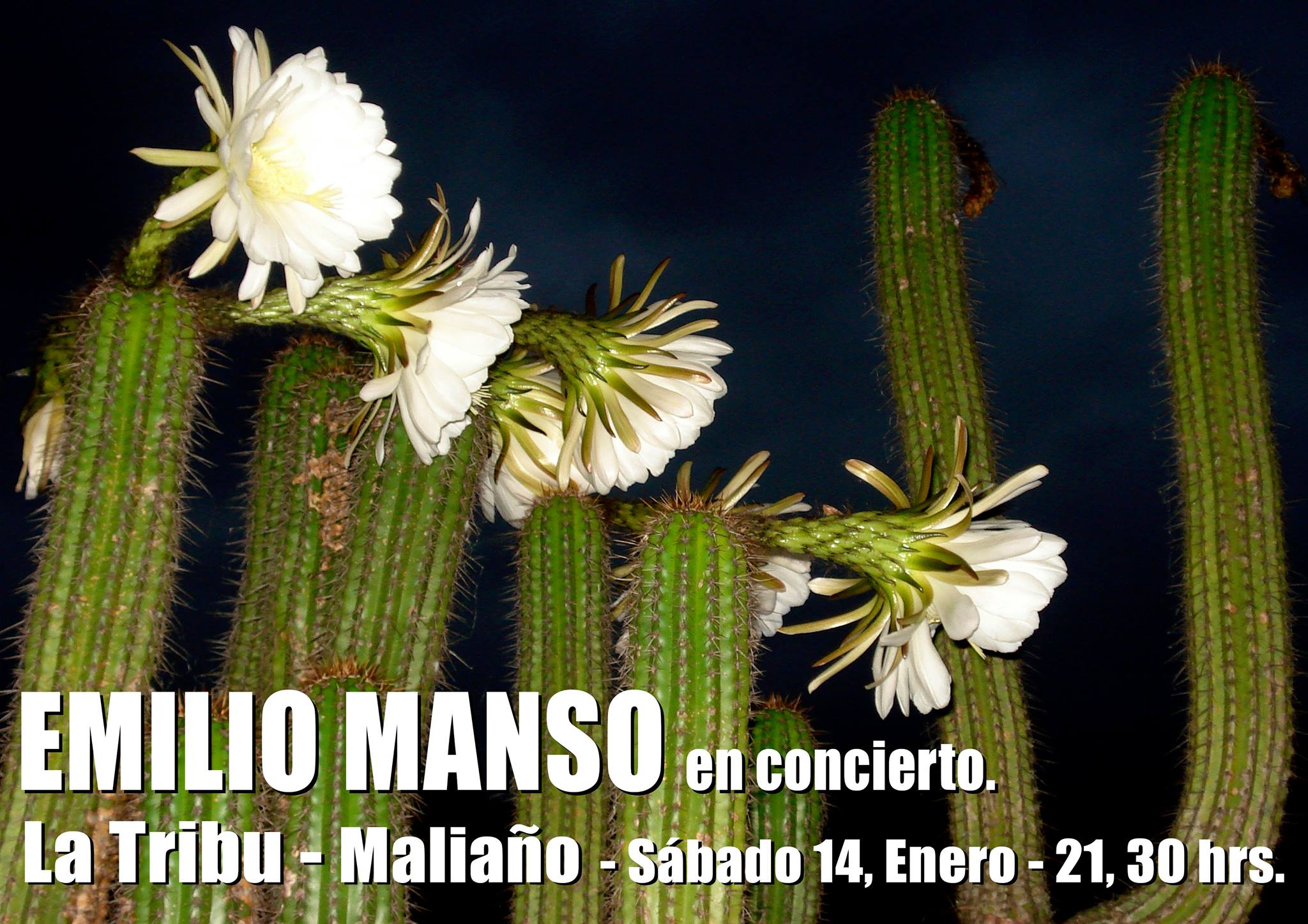 Concierto de EmilioManso en La Tribu de Maliaño