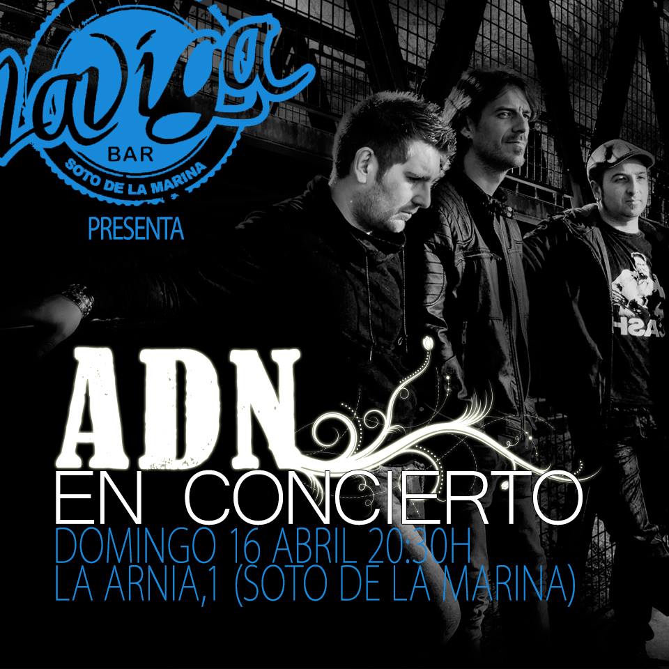 Concierto de ADN en La Viga de Soto de la Marina