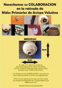 Charla sobre la avispa asiática en el Fluviarium de Liérganes