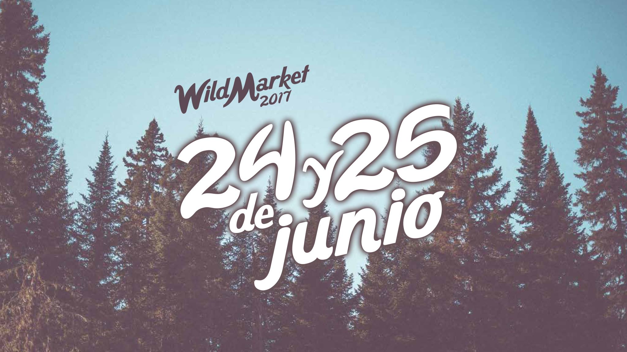 Festival Wild Market en Villaescusa 2017