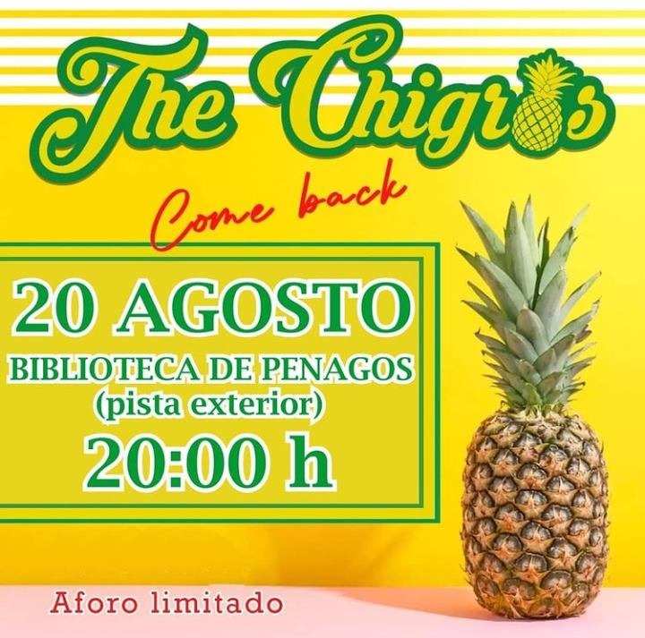 Concierto The Chigros