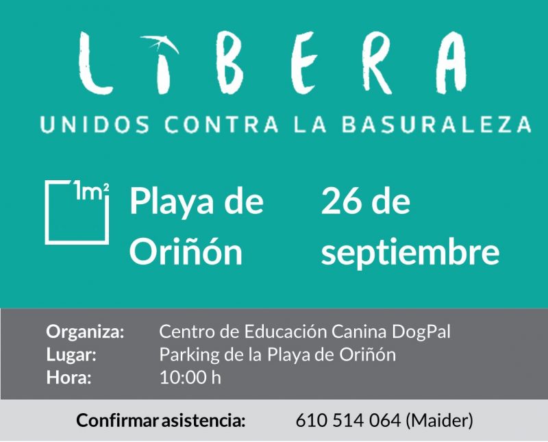 Limpieza de Playa - Playa de Oriñón
