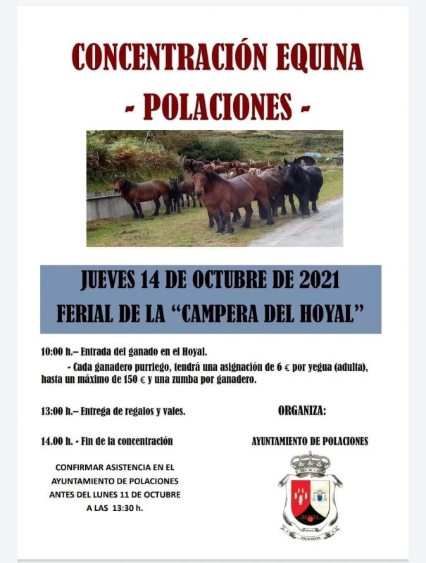 Concentración Equina - Polaciones