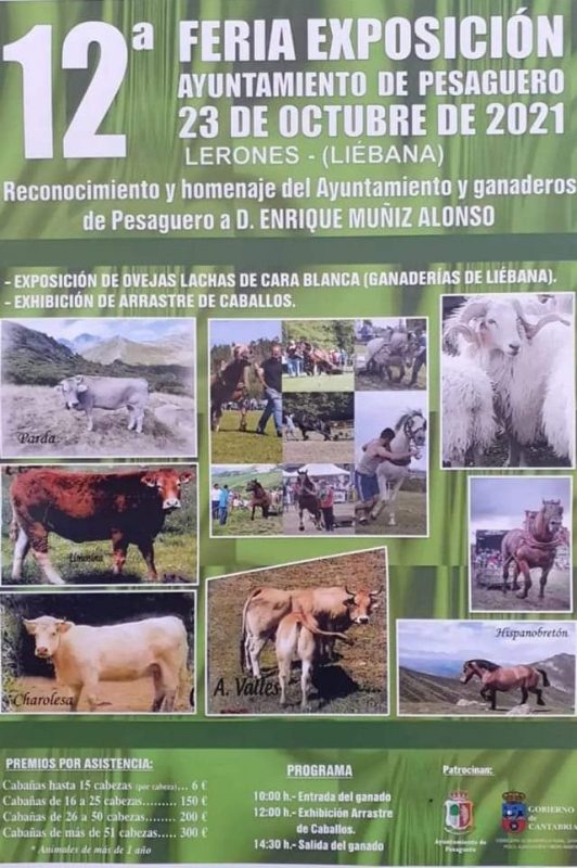 12a Feria Exposición – Ayuntamiento de Pesaguero