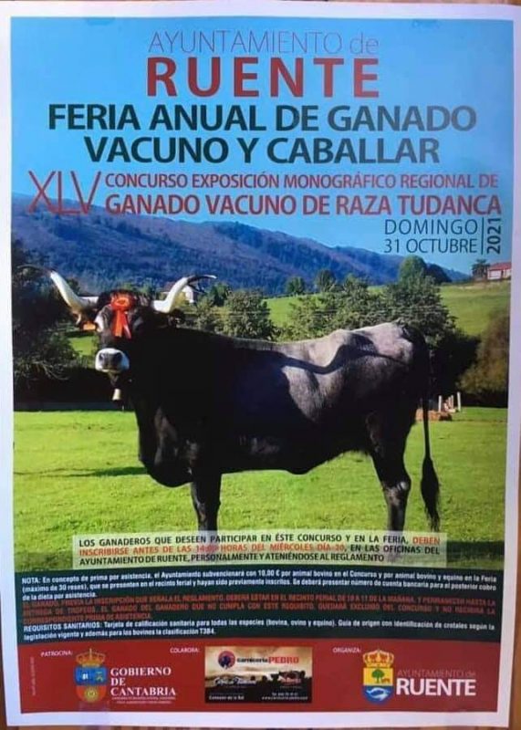 Feria Anual de Ganado Vacuno y Caballar – Ruente