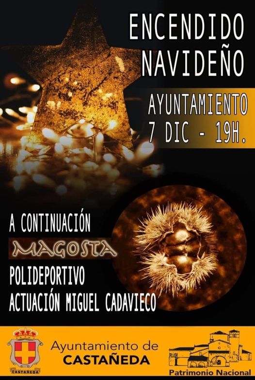 Encendido Navideño – Castañeda
