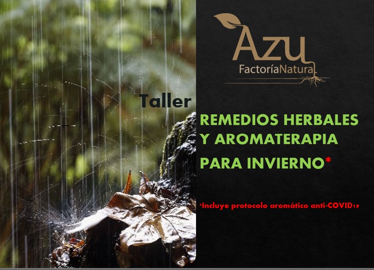 TALLER DE REMEDIOS HERBALES Y AROMATERAPIA PARA EL INVIERNO