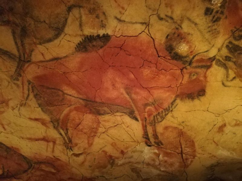 Visita guiada por la Neocueva y Museo de Altamira