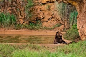 Excursión a Cabárceno desde Santander