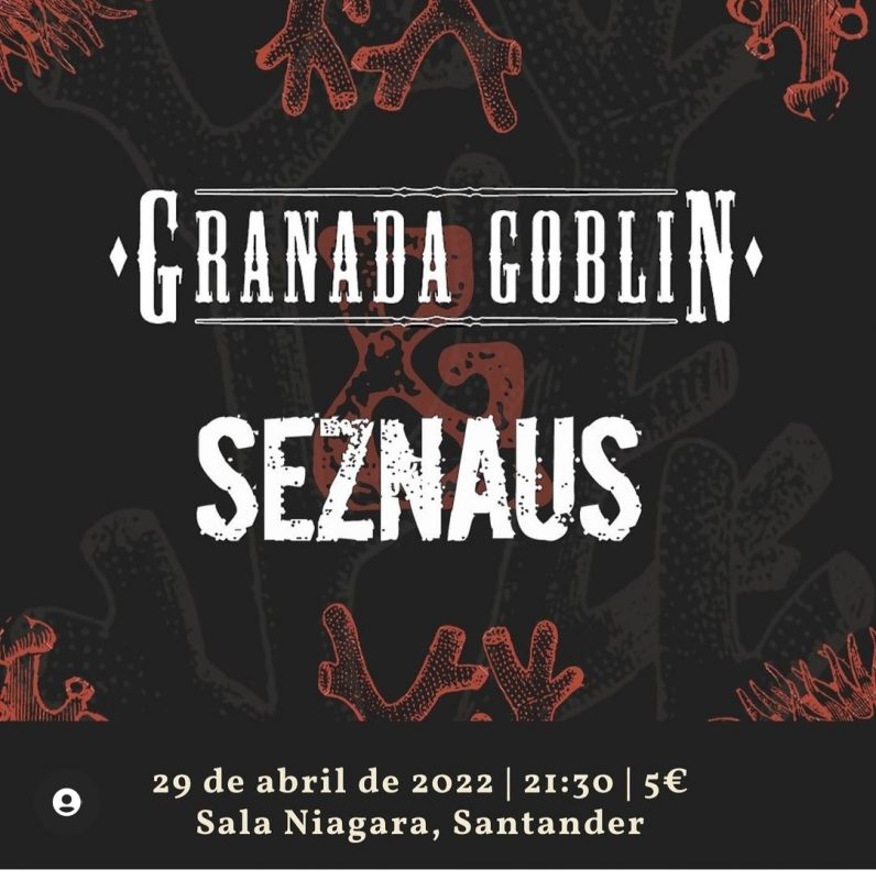 Concierto SEZNAUS