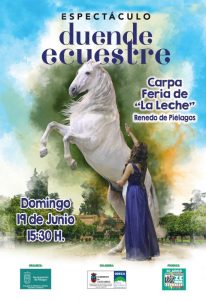 Feria de «La Leche»