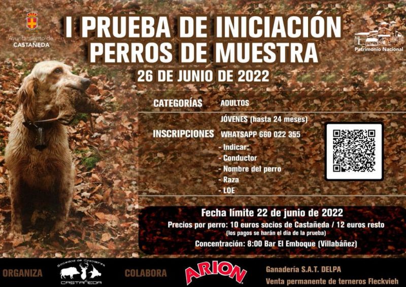 I Prueba de Iniciación – Perros de Muestra