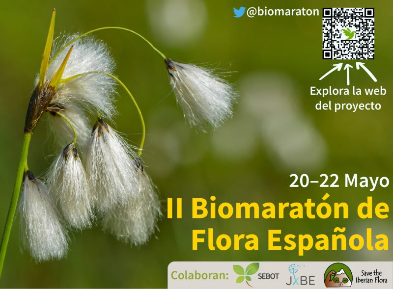 II Biomaratón de Flora de España