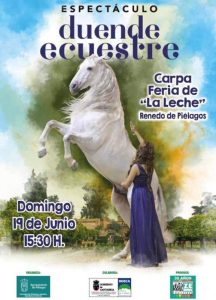 Espectaculo Duende Ecuestre
