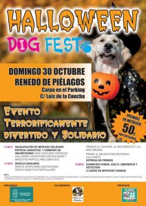 Halloween 2022 – Piélagos