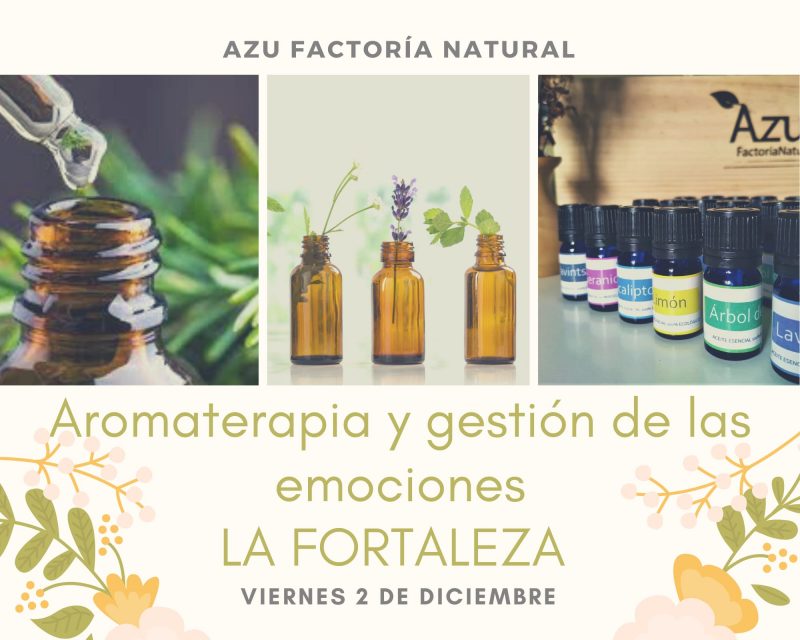 TALLER DE AROMATERAPIA: LA FORTALEZA