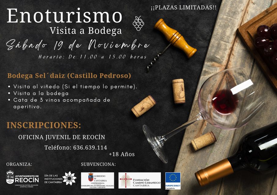 Enoturismo – Visita a Bodega – Reocín