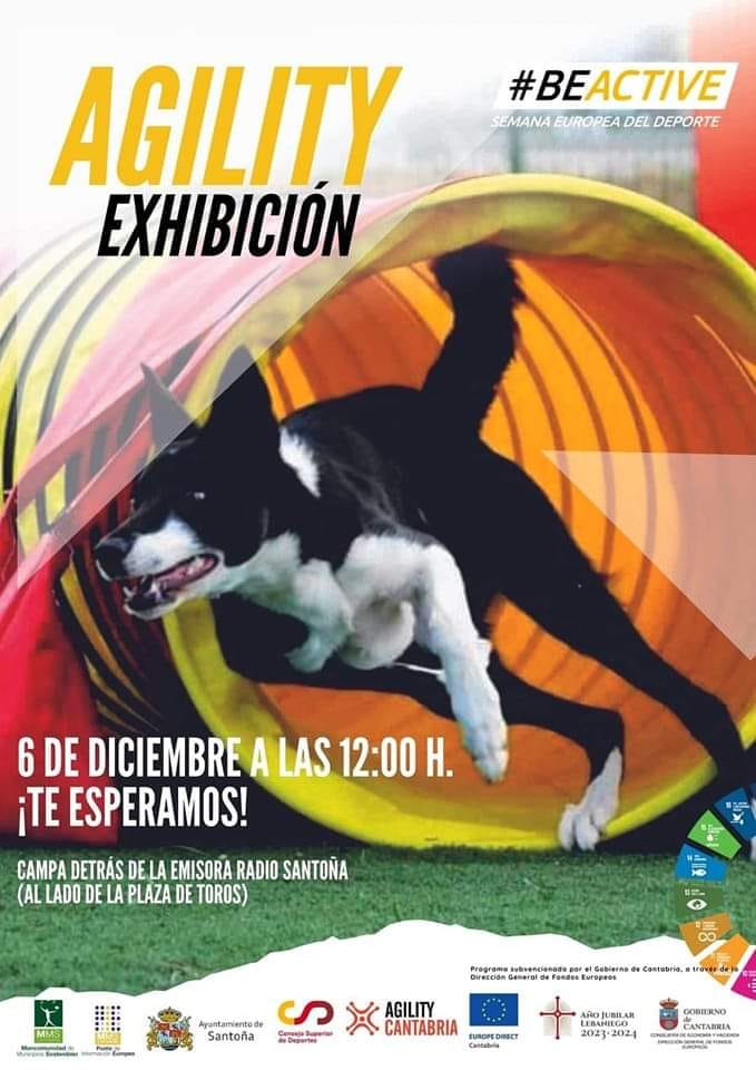 Exhibición Agility - 6 Diciembre