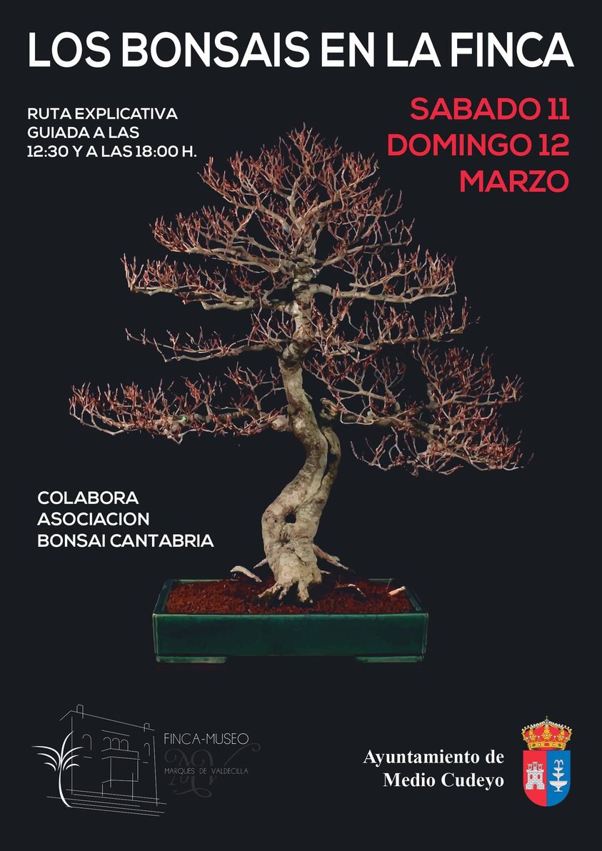 Los Bonsáis en la Finca