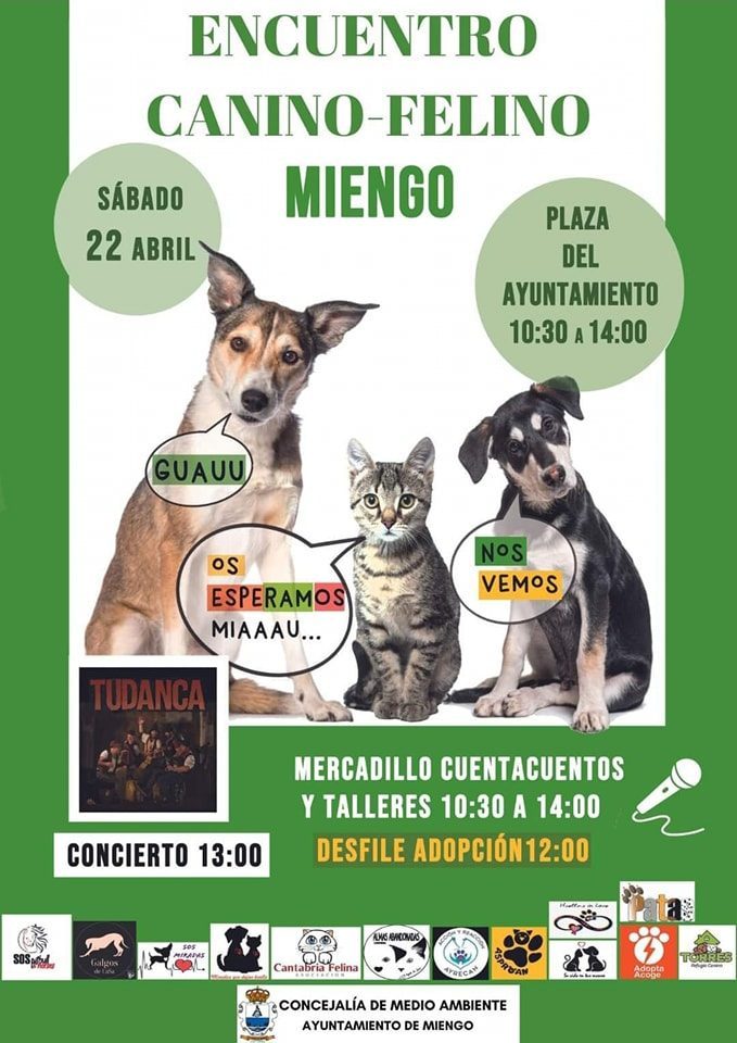 Encuentro Canino – Felino – Miengo