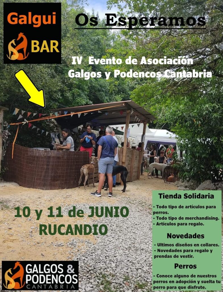 EVENTO GALGOS Y PODENCOS CANTABRIA