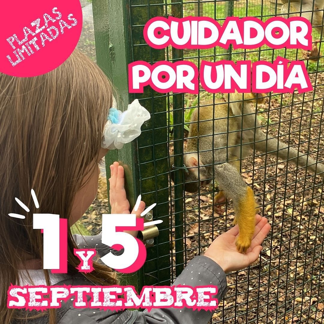 Cuidador por un día – Zoo de Santillana – Septiembre 2023