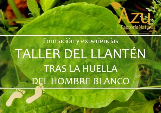 Taller de Llantén – 23 Marzo