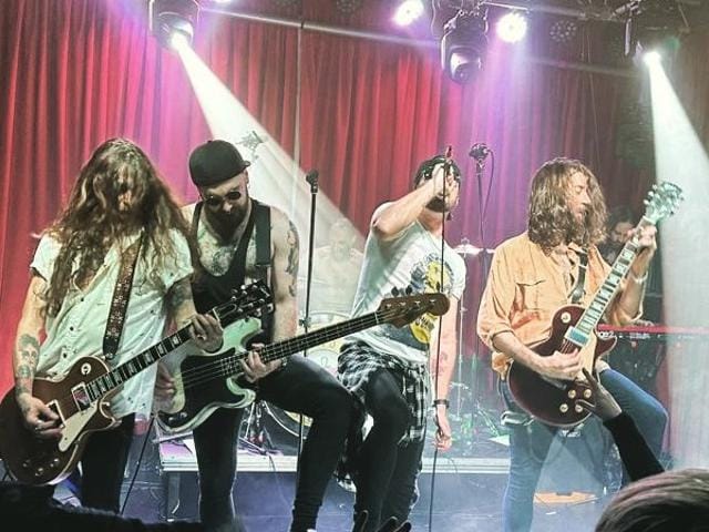 Concierto Gansos Rosas Santander 2024