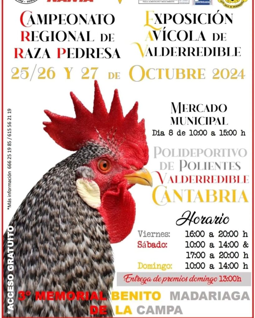 Campeonato Regional de Raza Pedresa 2024