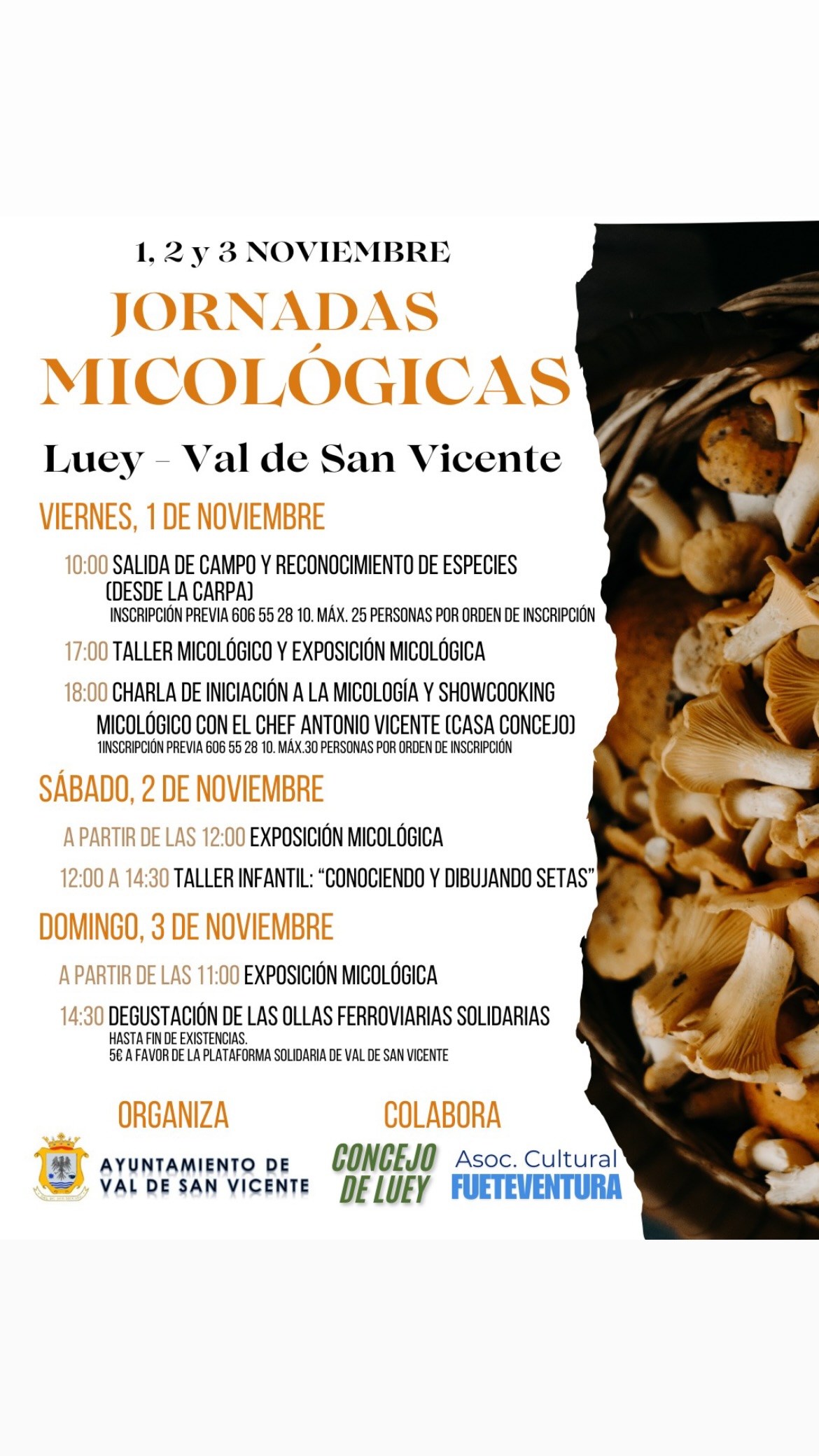 Jornadas Micológicas Luey 2024