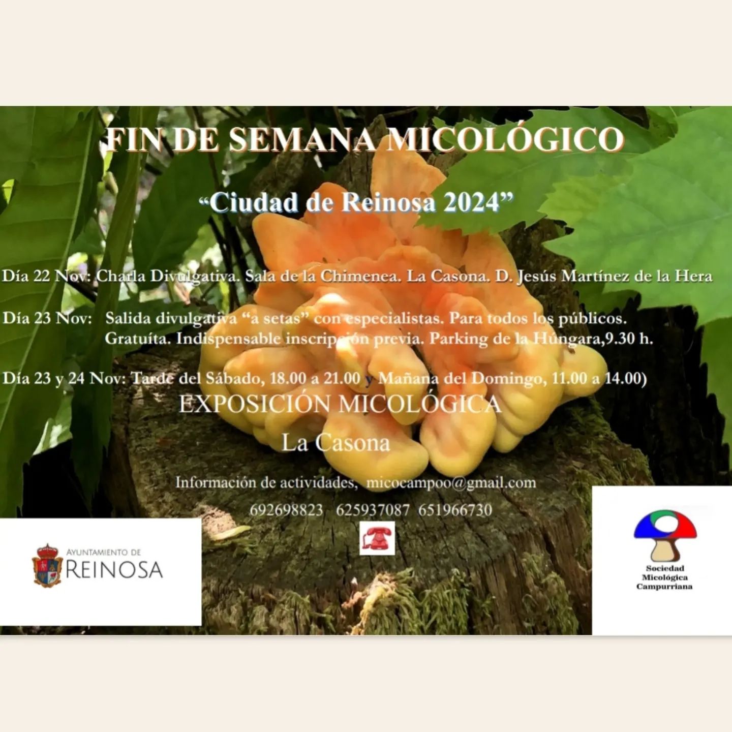 Fin de Semana Micológico Reinosa 2024