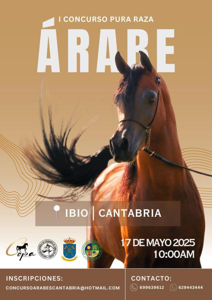 I Concurso Pura Raza Árabe 2025