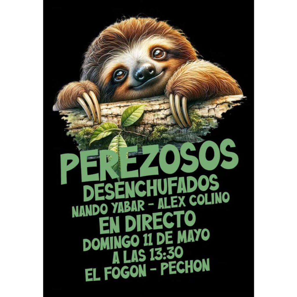 Concierto Perezosos Desenchufados