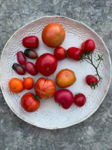 V Festival del Tomate de Cantabria 2025