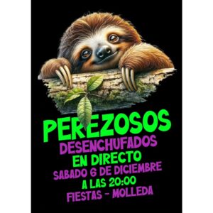 Inmaculada Concepción Molleda 2025