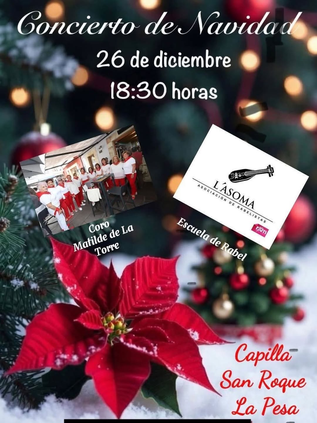 Concierto de Navidad Cabezón de la Sal 2025