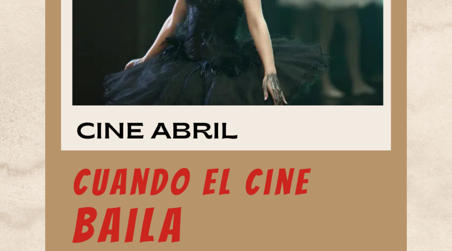 Cisne negro en Biblioteca Central de Cantabria